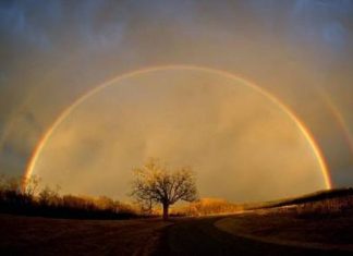 Commandant Ashian : Nouveaux horizons