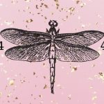 Numérologie – Votre numéro personnel pour l&rsquo;année 2020