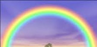 Le Créateur – Perfection