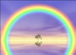 Le Créateur – Perfection