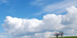 Permettre la Clarté