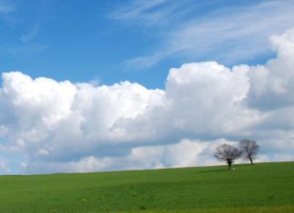 Permettre la Clarté