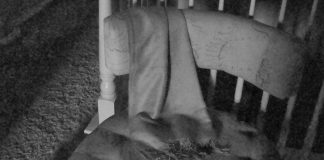 Le Créateur – Réglez le ton…