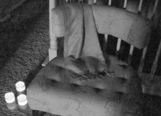 Le Créateur – Réglez le ton…