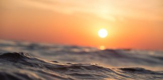 Sachez distinguer votre Coeur de Lumière de vos émotions humaines