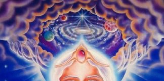 VIVONS-NOUS DANS UNE SIMULATION ?