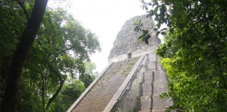 Nos appels sont connus de la plupart des habitants de la Terre et révélés