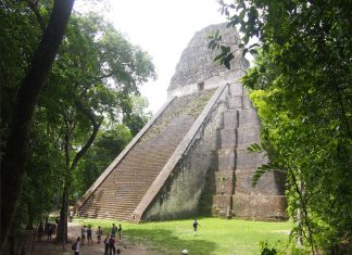 Nos appels sont connus de la plupart des habitants de la Terre et révélés