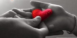 L’Amour Devient la Monnaie d’Échange Entre les Gens