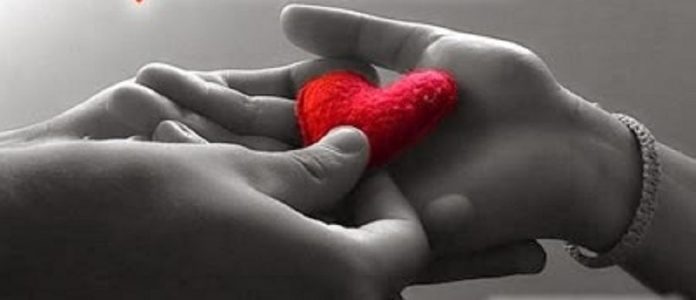 amour-mains