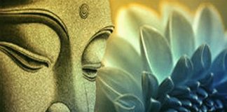 Méditation du Lotus doré