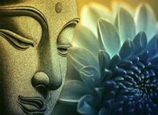 Méditation du Lotus doré