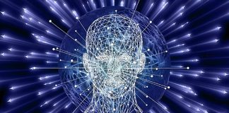 Vous êtes prêts à entendre la vérité sur ce que vous êtes réellement