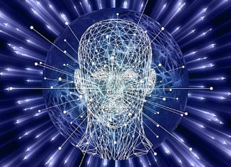 Vous êtes prêts à entendre la vérité sur ce que vous êtes réellement