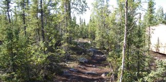 Le Créateur – Un chemin cahoteux… pour l’instant