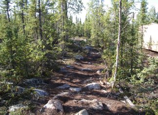 Message aux Travailleurs de Lumière – 2 octobre 2020