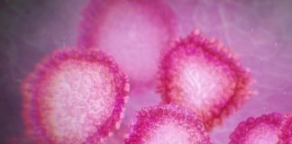 Le virus qui se propage en Chine