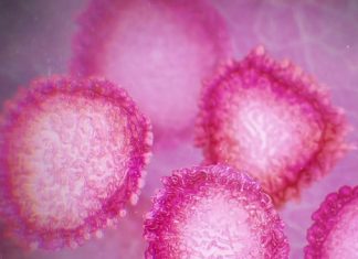 Le virus qui se propage en Chine