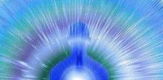 Le Créateur – Transparence