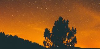 L’espace de Volonté