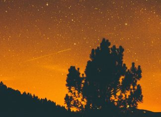 L’espace de Volonté