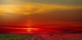 À quoi servent les feux de l’Australie et les autres événements traumatisants pour l’humanité?