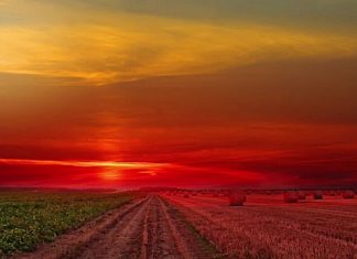 À quoi servent les feux de l’Australie et les autres événements traumatisants pour l’humanité?