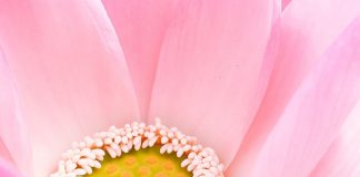 Permettre la Transformation