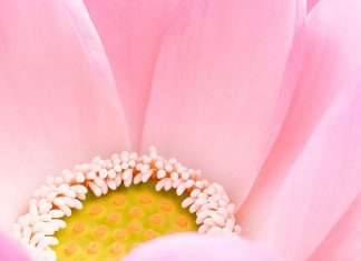 Permettre la Transformation