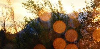 Lumières de la Terre