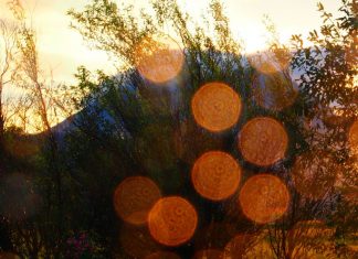 Lumières de la Terre