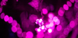 Permettre la transformation du monde