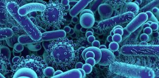 Rendre virus et microbes inopérants