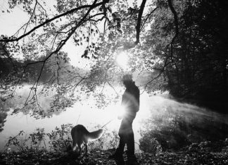 Le Créateur – Il n’y a que vous…