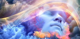 La Vie est à Vivre Pleinement, en Pleine Conscience