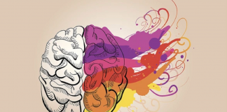 Le Créateur – Pensez et créez