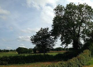 Rayonnez l’Amour que vous Êtes