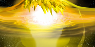 Seigneur Maitreya : l’année 2020 …