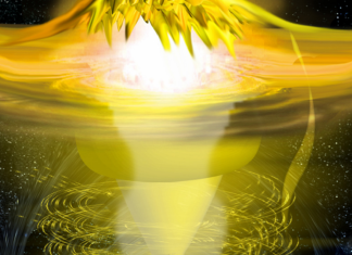 Seigneur Maitreya : l’année 2020 …