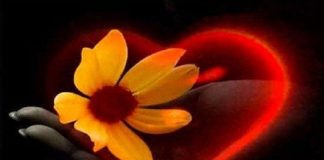 Méditation de la Fleur