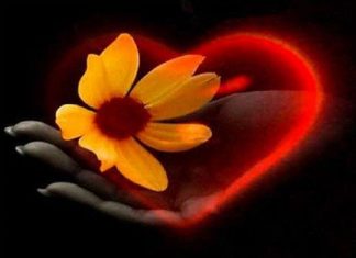 Méditation de la Fleur