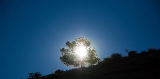 Retournez à votre propre Innocence