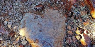 L’amour, pas la punition