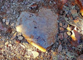 L’amour, pas la punition