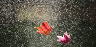 Pas besoin d’évaluation