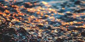 Le Changement de perception