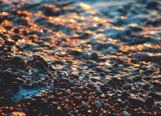 Le Changement de perception