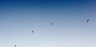 La Fin de l’ILLUSION…