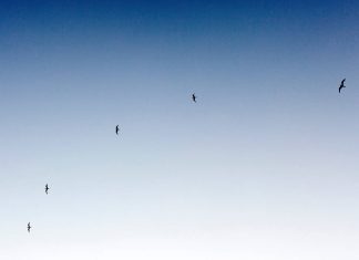 La Fin de l’ILLUSION…