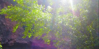 L’Amour remplace la Peur